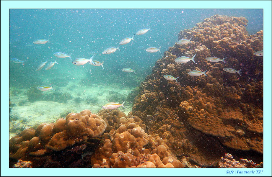 2011 - 07 - Koh Lipe 51